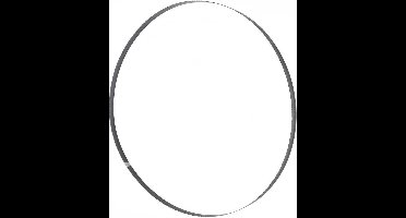 Holzmann Maschinen BSB300B15 Bandzaagblad 2240 x 16 x 0.5 1 stuk(s) Geschikt voor model HBS300J_230V