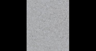 Noordwand Behang Vintage Deluxe Stucco Crackle metallic grijs