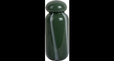 Present Time - Vaas Dulce Raya - Jungle groen