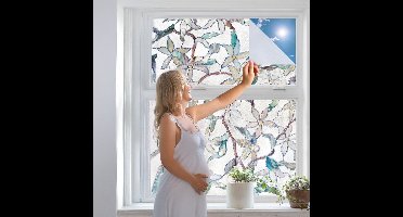 ApexArte® Raamfolie Glas in Lood - Zelfklevend - Antieke Look - Lood Regenboog