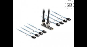 Delock Converter M.2 2280 Key B+M male to 8 x SATA