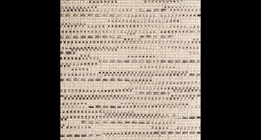 Vloerkleed Xilento Outdoor 4001-21 | 200 x 300 cm