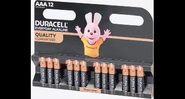 Duracell AAA - alkaline batterijen - 1,5V, LR03 - 12 stuks