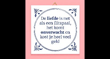 Tegeltje De liefde is net als een flitspaal van Ditverzinjeniet