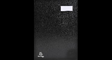 Exacompta Handtekenmap Directie met harmonicarug - 12 indelingen - Zwart - 24121E