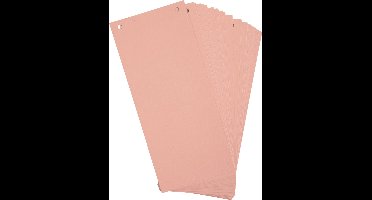 Exacompta 12x Pak van 100 horizontale tabstroken met perforatie 180g - 105x240mm - Roze - 13335B