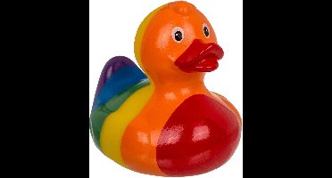 Rainbow Squeaking Duck