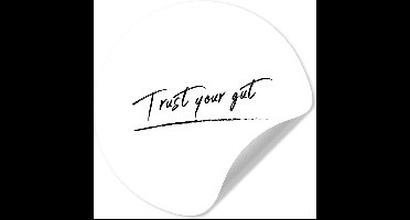 WallCircle® - Behangcirkel 30x30 cm - Muurstickers Trust your gut - Quotes - Spreuken - Muurcirkel woonkamer - Wandcirkel slaapkamer - Kamer decoratie zelfklevend - Muurdecoratie accessoires