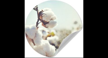 WallCircle® - Behangcirkel 30x30 cm - Muurstickers Planten - Bloem - Tak - Natuur - Muurcirkel woonkamer - Wandcirkel slaapkamer - Kamer decoratie zelfklevend - Muurdecoratie accessoires