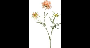 Emerald - Kunstbloem Duifkruid 77cm peach - Kunstplant voor binnen