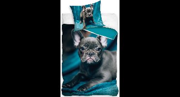 Dreamee Dekbedovertrek Pitbull puppy - 140 x 200 cm - Katoen