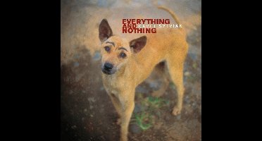 David Sylvian - Everything & Nothing (3 LP)