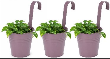 Progarden Bloempotje met haak - 3x - plantenbak zink met ophanghaak - paars - 20 x 13 x 26 cm - ophangbaar- Balkon/schutting plantenpot