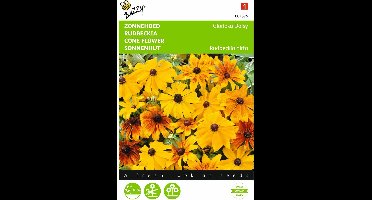 2 stuks - Buzzy - Rudbeckia hirta Gloriosa Daisy Gemengd