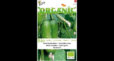 2 stuks - Buzzy - Organic Snackkomkommer Picolino (BIO)