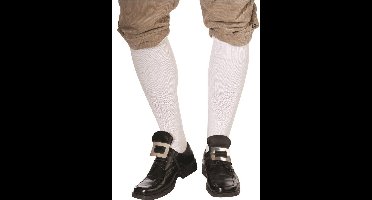 Schoenen gesp zilver