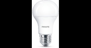 Philips LED lamp E27 13W 1521Lm peer mat
