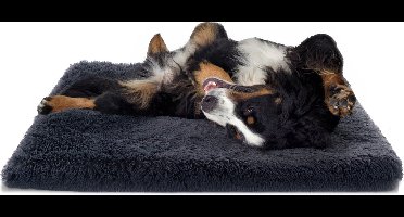 Paco - Comfortabel Ligkussen voor Honden - 120x80cm - Grijs