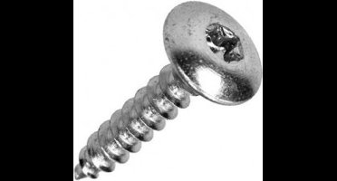 Mack LUIKSCHROEF BLAUW VERZINKT 6,0 X 30 MM 9ST