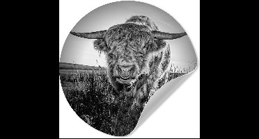 WallCircle® - Behangcirkel 30x30 cm - Muurstickers Schotse Hooglander - Zwart Wit - Koeienkop - Muurcirkel woonkamer - Wandcirkel slaapkamer - Kamer decoratie zelfklevend - Muurdecoratie accessoires