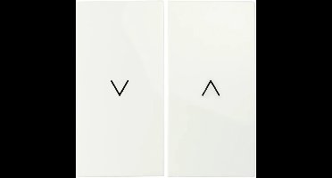 ION industries bedieningswip Jaloezieschakelaar - E1 alpin wit glanzend (20.302.214)