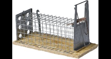 Luna Muizenval Hout Recht 1-Kleps - Ongediertebestrijding - 16 cm