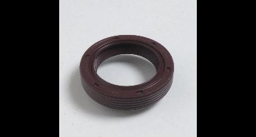 originele motorafdichting voor piaggio scooter 125 x8 2004 tot 2007 82538r / 24x35x7mm nieuw