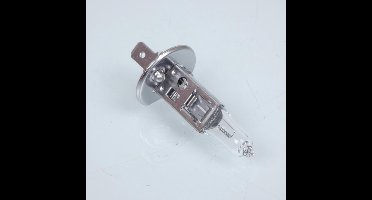 Ampoule Osram pour Scooter Piaggio 125 Beverly 2001 à 2006 Neuf