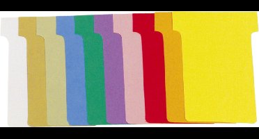 Exacompta Doos met 10 etuis van 100 T-kaarten n°1,5 - L45 x H53 x l36 x h 15 mm - Geassorteerd - 57945E