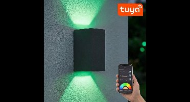 SMART LED Wandlamp | Tuya / WiFi | San Francisco | Incl. 2x lichtbronnen | Zwart