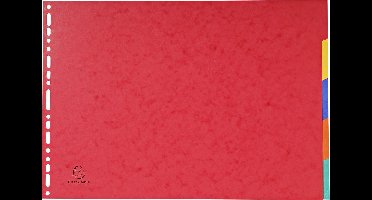 Exacompta 20x Tabbladen in glanskarton 400g - 5 tabs - A3 - Geassorteerd - 2905E