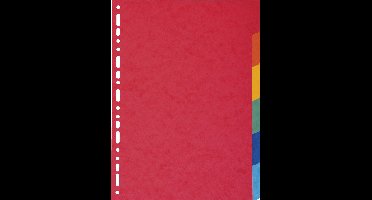 Exacompta 50x Tabbladen gerecycleerd karton 220g - 6 tabs - A4 - Geassorteerd - 2006E