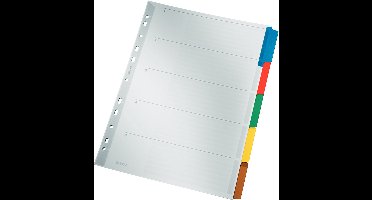 LEITZ Mylarkartonnen tabbladen, blanco, A4, 5-delig, grijs