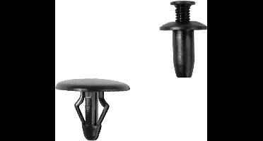 BGS Assortiment bevestigingsclips voor Ford, Mazda, GM, Chrylser & Nissan 415 delig