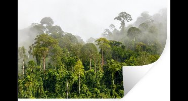 Muurstickers - Sticker Folie - Jungle - Boom - Mist - Jongetjes - Meiden - Kinderen - 30x20 cm - Plakfolie - Muurstickers Kinderkamer - Zelfklevend Behang - Zelfklevend behangpapier - Stickerfolie