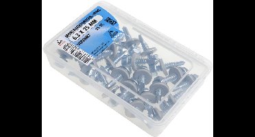 Deltafix - M.boorschr. ring 6,3x25 verz 25st