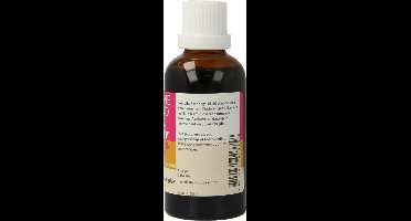 Pulmonaria Simplex Zonnegoud