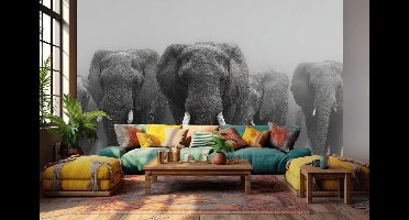 Vliesbehang Fotobehang - Majestic Elephant Parade Mural - 250x250 centimeter