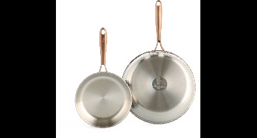 BK Rose Koekenpannenset 2-delig - 20/28cm - Zonder PFAS-vrije antikleeflaag - Koekenpan inductie - RVS bakpan - Ovenbestendig tot 200°C - Zilver