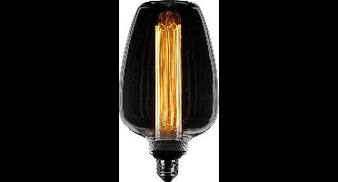 ETH Glas Deco LED Lichtbron - Fitting E27 - Dimbaar