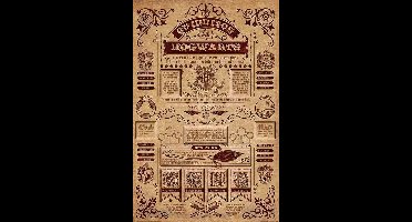 Harry Potter Quidditch at Hogwarts Poster meerkleurig - Papier - Fan merch, Film, Hogwarts