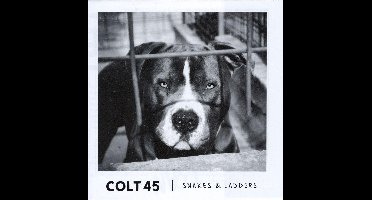 Snakes & Ladders - Cd