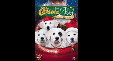 Les chiots Noël - La relève est arrivée