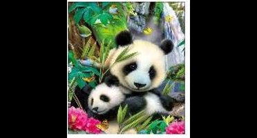 Diamond Painting Panda 30x30 cm