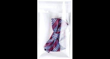 Plastic zakken 12.7x18.7 cm Transparant en Hersluitbaar (100 stuks) | Plastic zak