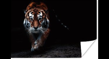 Poster Dieren - Tijger - Zwart - Wild - Portret - 30x20 cm