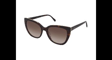 Pierre Cardin P.C. 8498/S Havana 54/18/140 WOMAN Zonnebrillen