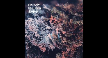 Benoit Pioulard - Sylva (CD)