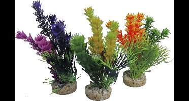 Sydeco magische fiesta kleuren 16CM per 1 stuk