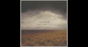 Adrian Crowley - I See Three Birds Flying (CD)